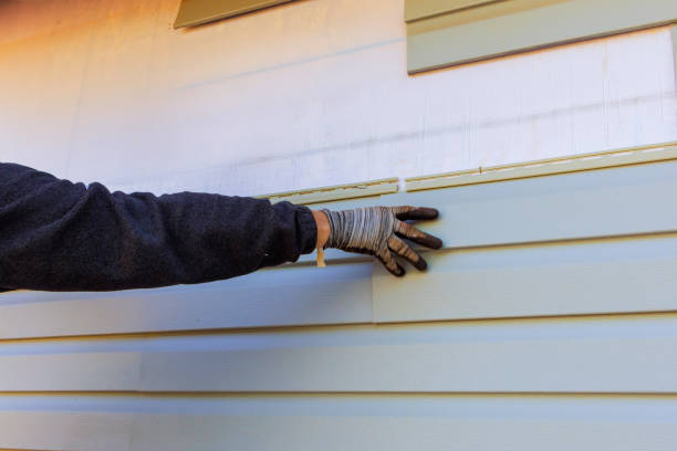 Best Vinyl Siding Installation  in Hamilton, MT